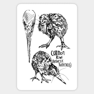 Kiwi Bird Anatomy Magnet